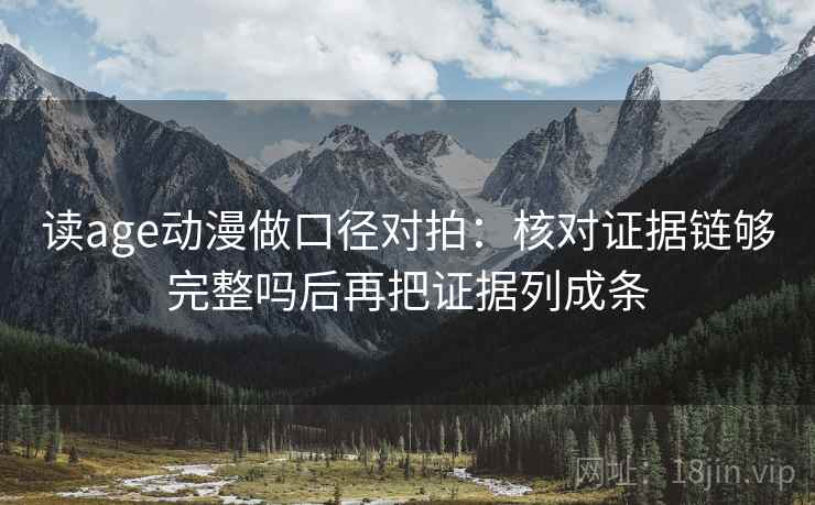 读age动漫做口径对拍：核对证据链够完整吗后再把证据列成条