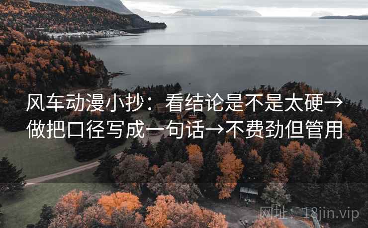 风车动漫小抄：看结论是不是太硬→做把口径写成一句话→不费劲但管用